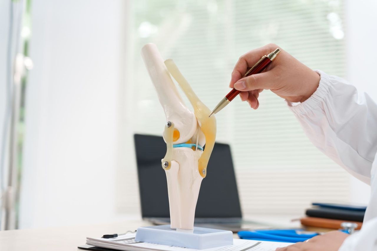 a-doctor-uses-a-knee-joint-model-to-demonstrate-an-2026-01-08-06-36-17-utc-1-1